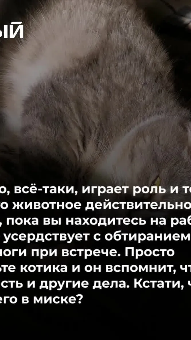 Нажми и смотри