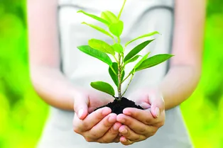 Качество саженцев определяет то, каким будет сад: советы начинающим садоводам на весну 2026