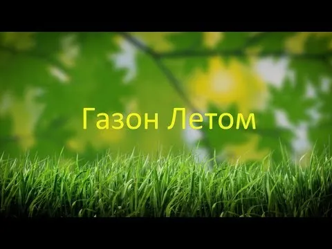 Нажми и смотри Нажми и смотри