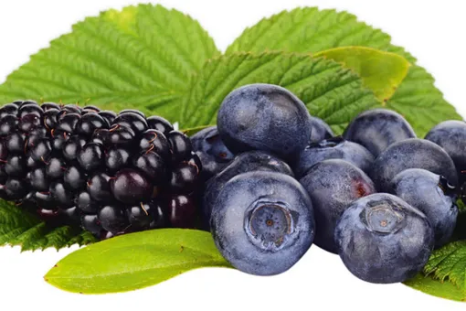 Вспомнить всё: продукты, улучшающие память