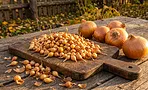 10 озимых сортов лука для регионов с малоснежными зимами