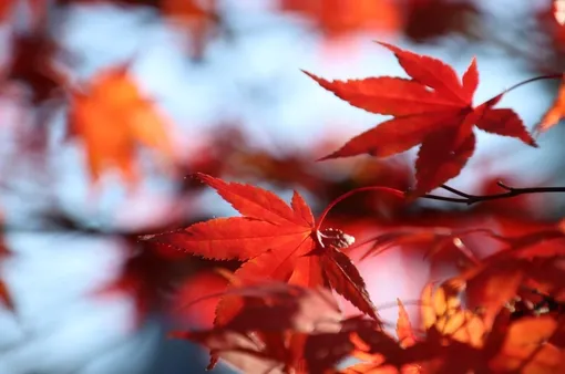 С 17 сентября в Москву придут дожди