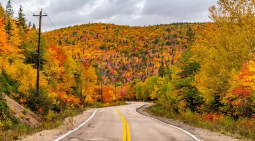 В Центральную Россию придёт золотая осень