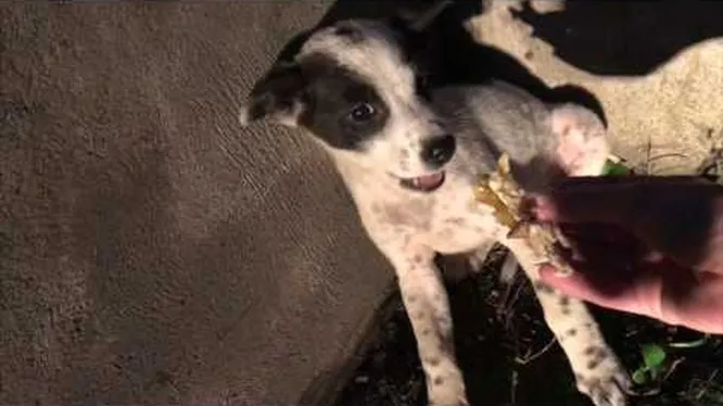 Нажми и смотри Нажми и смотри