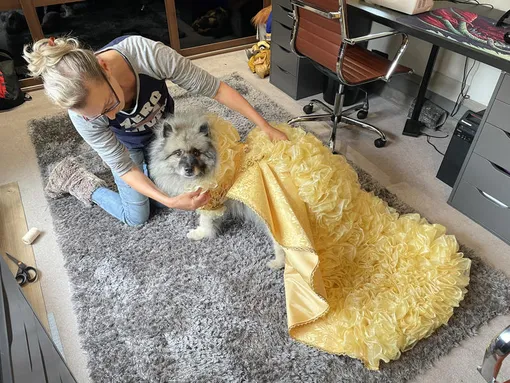 собака Белль