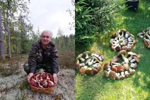 «Обалдеть полянище»: продажа грибов этой осенью поможет разбогатеть «Обалдеть полянище»: продажа грибов этой осенью поможет разбогатеть