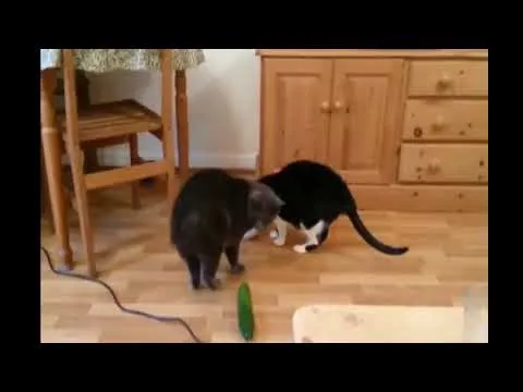 Нажми и смотри