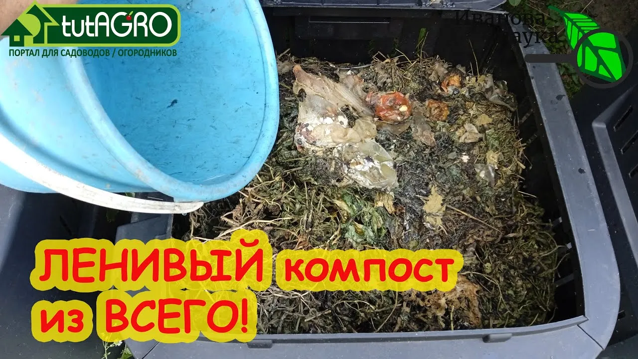 Нажми и смотри Нажми и смотри