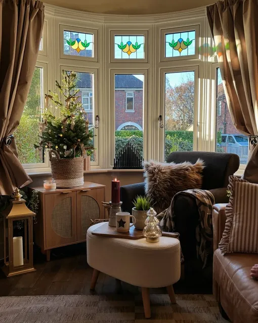 елка в горшке