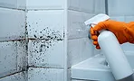 Как избавиться от плесени на швах плитки, чтобы она не вернулась: почему народные средства не работают Как избавиться от плесени на швах плитки, чтобы она не вернулась: почему народные средства не работают