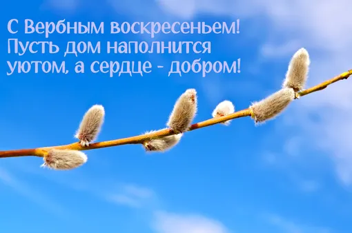 Открытка с Вербным воскресеньем