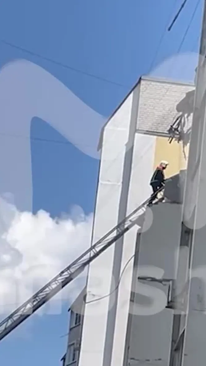 Нажми и смотри