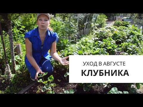 Нажми и смотри