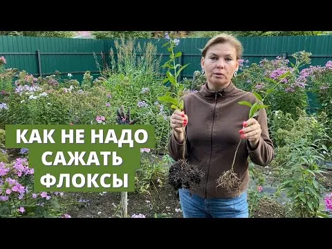 Нажми и смотри
