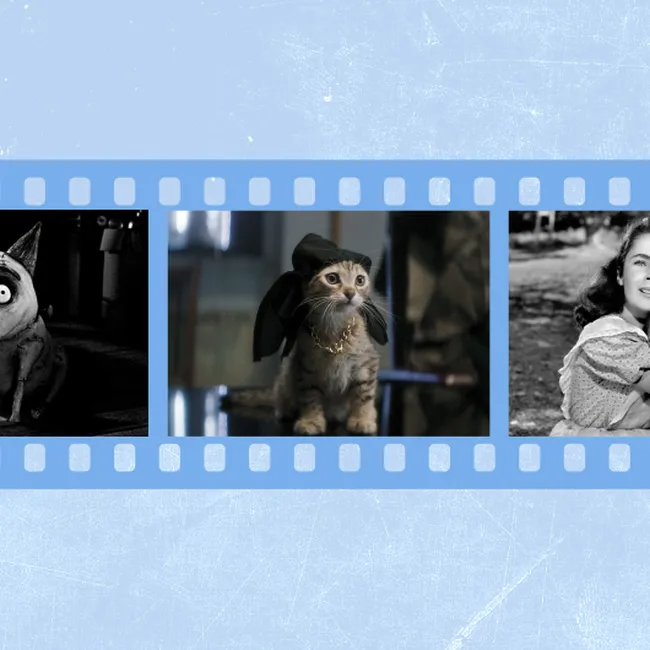 Не только «Хатико»: 9 фильмов и один сериал о домашних животных