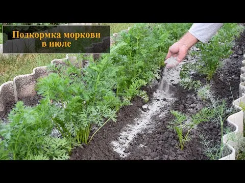 Нажми и смотри
