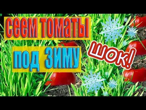 Нажми и смотри