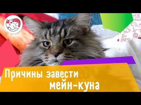 Нажми и смотри