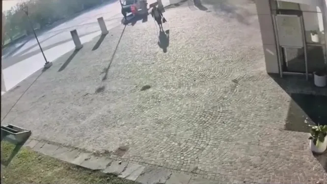 Нажми и смотри