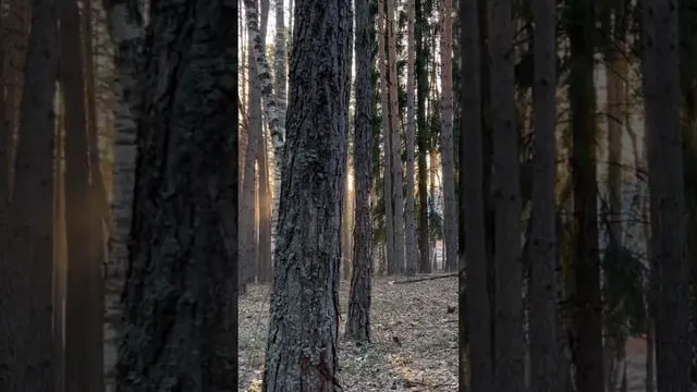 Нажми и смотри Нажми и смотри