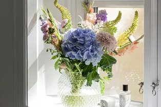 Где и какие цветы поставить в доме? Флорист подобрал растения для каждой комнаты Где и какие цветы поставить в доме? Флорист подобрал растения для каждой комнаты