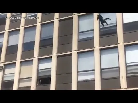 Нажми и смотри