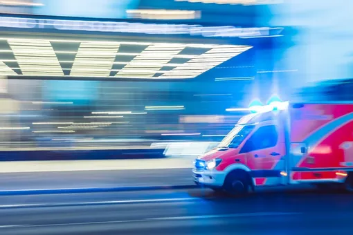 Диана Пожарская просит спасти её подругу от верной смерти