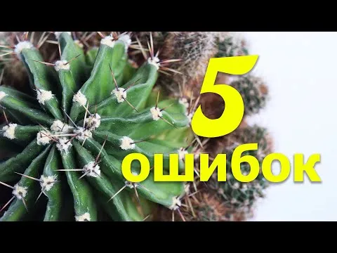 Нажми и смотри