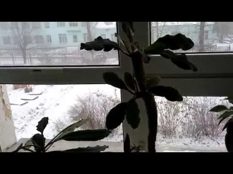 Нажми и смотри