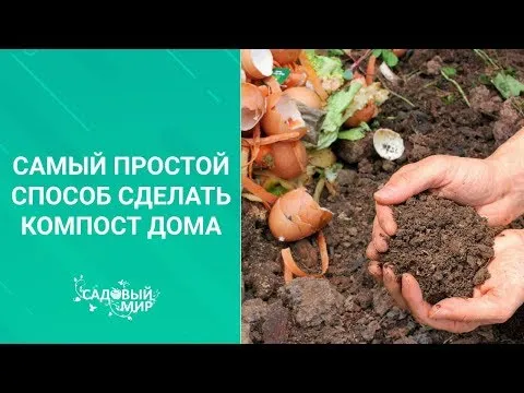 Нажми и смотри Нажми и смотри