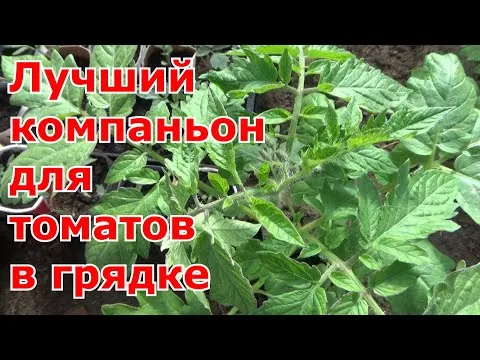 Нажми и смотри