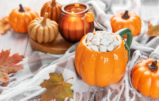 6 осенних трендов в декоре, которые ненавидят дизайнеры 6 осенних трендов в декоре, которые ненавидят дизайнеры