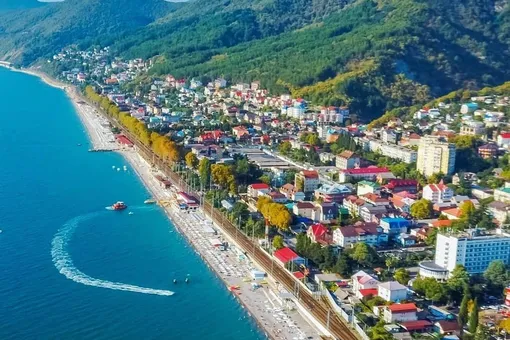 Лунный камень, умные крабы и пальмы: почему стоит отдохнуть в Лазаревском Лунный камень, умные крабы и пальмы: почему стоит отдохнуть в Лазаревском