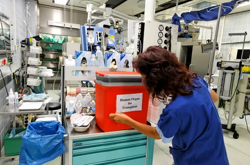 Пациент в коме подавал знаки, что жив, но был отправлен на изъятие органов. Его спас нейрохирург Пациент в коме подавал знаки, что жив, но был отправлен на изъятие органов. Его спас нейрохирург