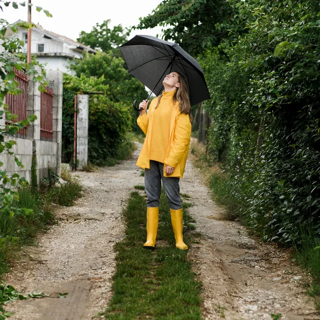 Майские в огороде: капитальная уборка, рассада и привлечение полезных насекомых