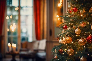 Новогодняя ёлка простоит месяц и не осыплется: помогут 5 простых хитростей Новогодняя ёлка простоит месяц и не осыплется: помогут 5 простых хитростей