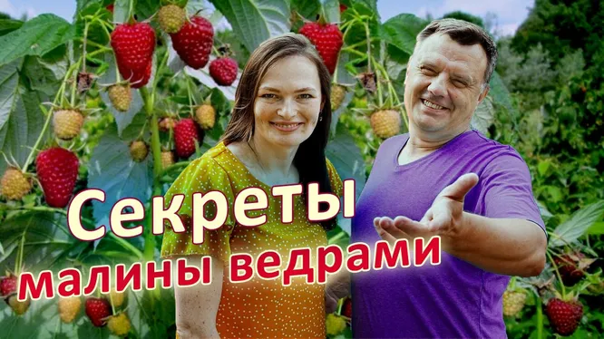 Нажми и смотри