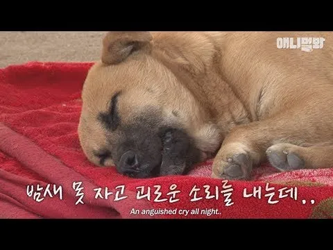 Нажми и смотри