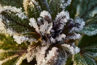 В одном из регионов России резко похолодает: куда придут заморозки