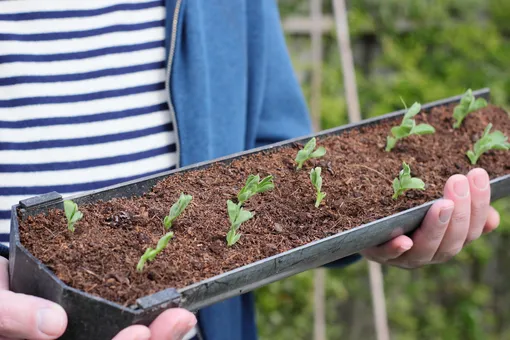 Какая погода будет на майские 2026 прогноз