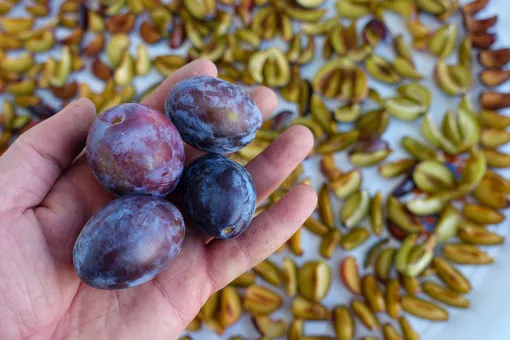 Подготовка слив