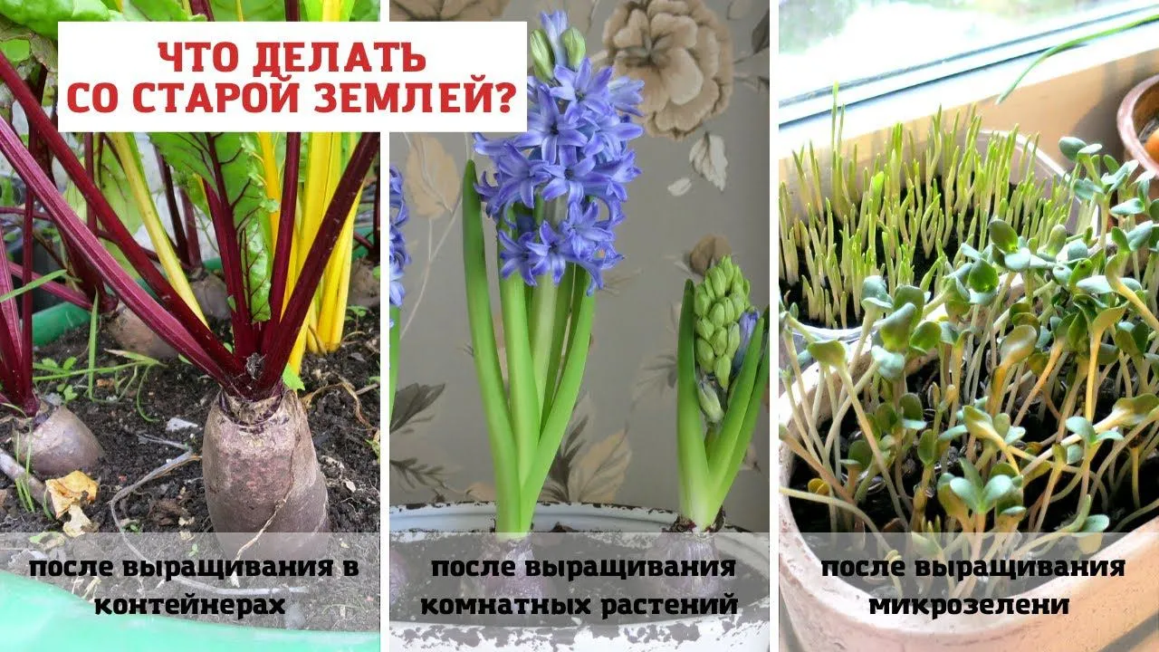 Нажми и смотри