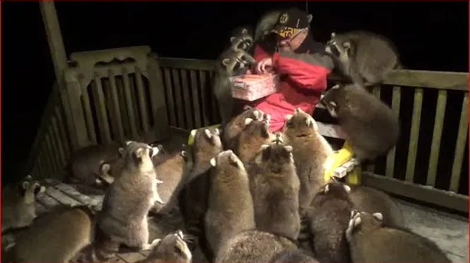 Нажми и смотри Нажми и смотри