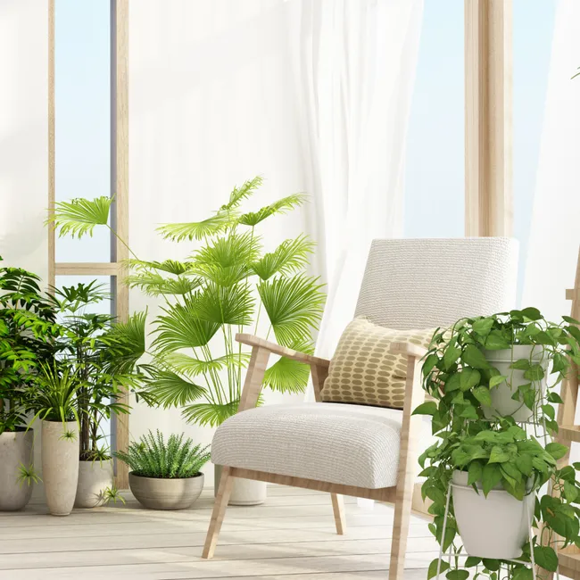 Как облагородить балкон летом: широкий подоконник, разноцветные стёкла и много растений