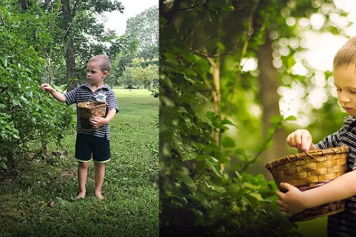 Мир, который я видел раньше и мир, какой я увидел, став фотографом. «До» и «после» Мир, который я видел раньше и мир, какой я увидел, став фотографом. «До» и «после»