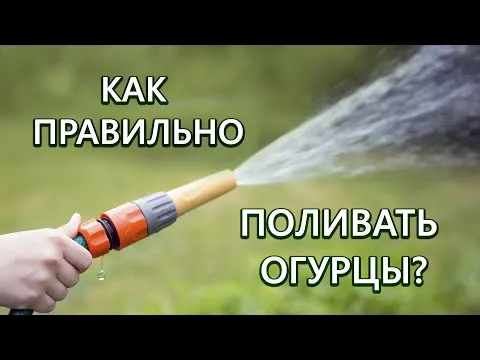 Нажми и смотри