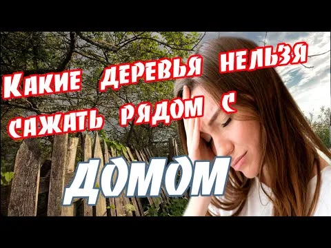 Нажми и смотри