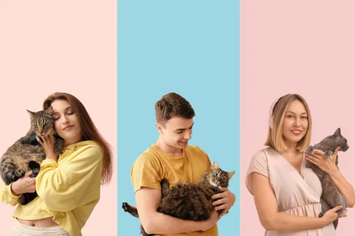 Топ-10 самых модных пород кошек в 2025 году Топ-10 самых модных пород кошек в 2025 году