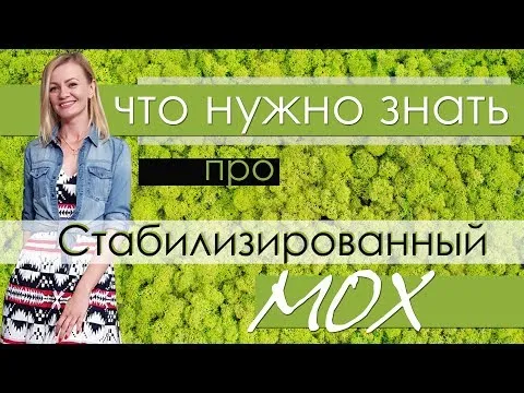 Нажми и смотри