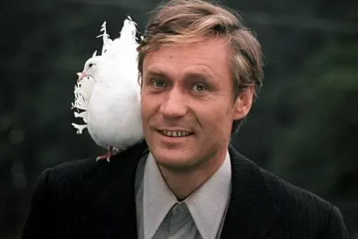 «Ёшкин кот!»: Повалий показала, как выглядит звезда фильма «Любовь и голуби» сейчас «Ёшкин кот!»: Повалий показала, как выглядит звезда фильма «Любовь и голуби» сейчас